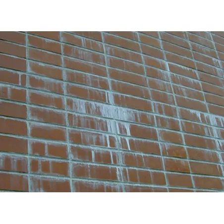 VORACE II décapant nouvelle génération